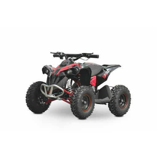 Renegade sale electric quad